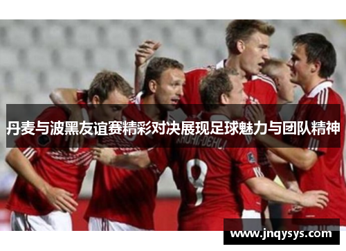 丹麦与波黑友谊赛精彩对决展现足球魅力与团队精神